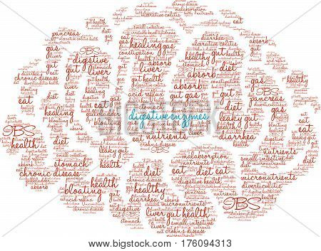 Digestive Enzymes Word Cloud