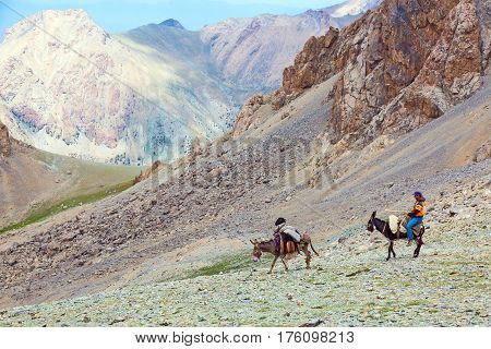Donkey caravan in remote Asian mountain area. Fan Mountains, Alaudin pass, Tagikistan, Middle Asia, July 16, 2015