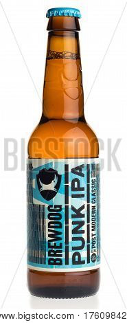 GRONINGEN, NETHERLANDS - MARCH 10, 2017: Bottle of Scottish Brewdog Punk IPA beer isolated on a white background