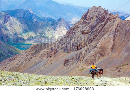 Wild Mountain Landscape and cargo Donkey Caravan delivering goods to remote location