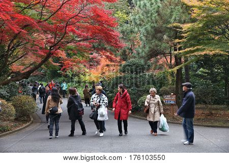 Shinjuku Gyoen, Tokyo