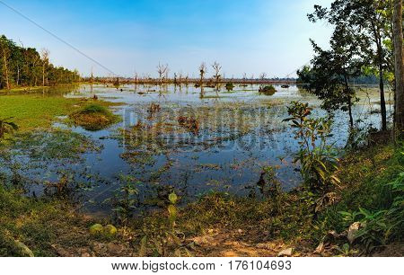 Beautiful artificial lake with with trees and other vegetation around the Neak Pean Temple in Angkor Complex, Siem Reap, Cambodia.