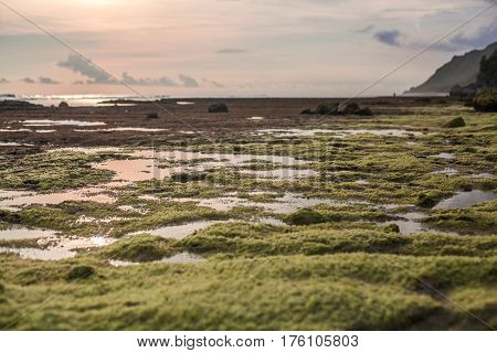 Rock formations at low tide on the ocean Bali