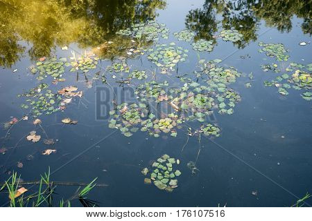 Part Of The Delta Of River Evros, Greece