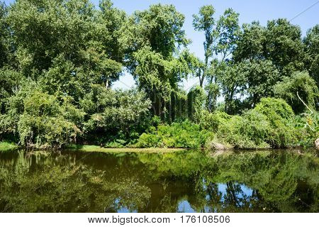Part Of The Delta Of River Evros, Greece