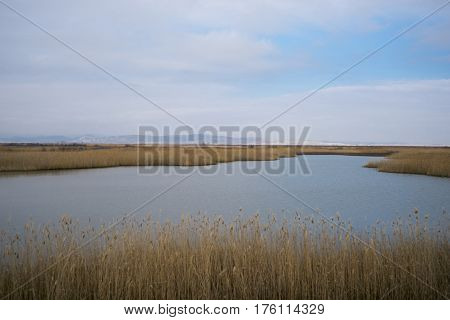 Part Of The Delta Of River Evros, Greece