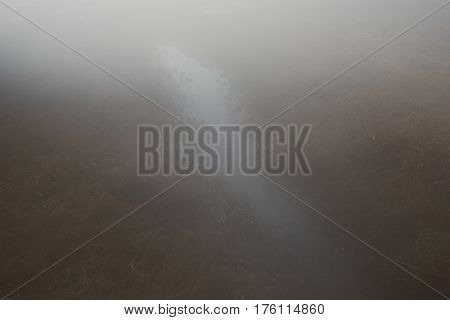 Part Of The Delta Of River Evros With Fog, Greece
