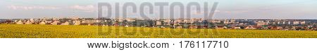 Large wide panorama of the southern residential district of Belgorod city. White city Russia. Skyline of the city on hills behind a sunflowers field.