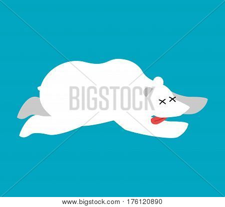 Dead Polar Bear.arctic And Antarctic Wild Beast Dead. Corpse North Predator
