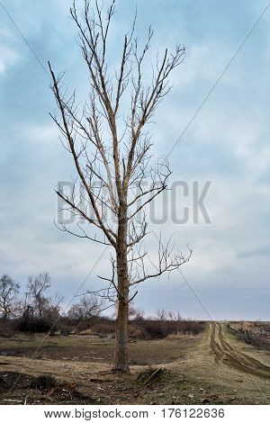 Landscape Of The Delta Of River Evros, Greece