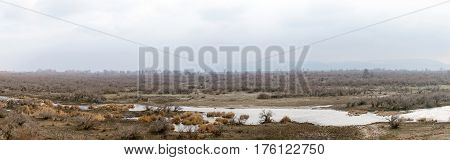 Part Of The Delta Of River Evros, Greece, Panoramic View