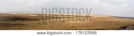 Part Of The Delta Of River Evros, Greece, Panoramic View