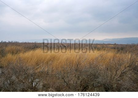 Part Of The Delta Of River Evros, Greece