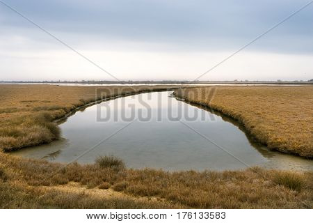 Landscape On Delta Of River Evros, Greece