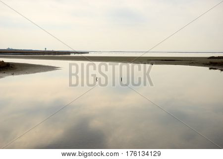 Landscape On Delta Of River Evros, Greece