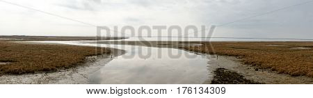 Landscape On Delta Of River Evros, Greece, Panoramic View