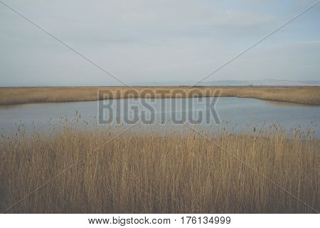 Landscape On Delta Of River Evros, Greece