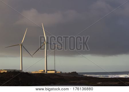 Pair of wind turbines move at sunset beautiful light, Spain, Fuerteventura island