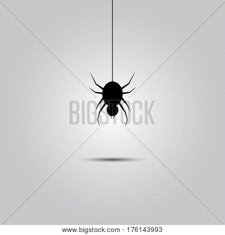 Spider logo template. Spider icon. Flat spider