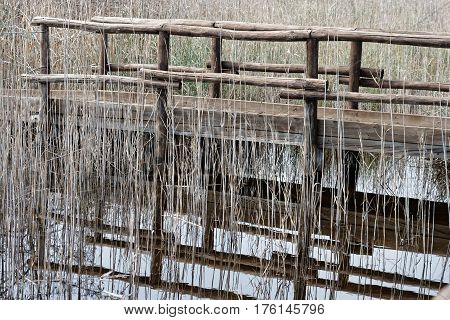 Nature Reserve Oasis Lipu Massaciuccoli Lucca Tuscany - Italy