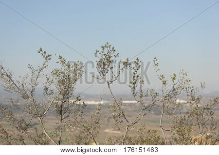 By the village of Vilafames in Castellon