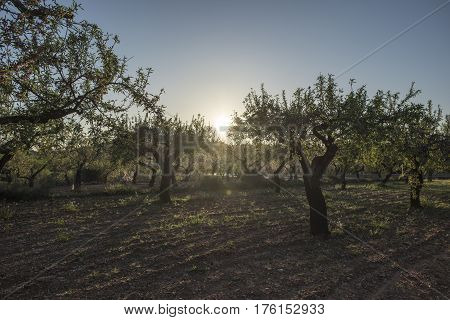 By the village of Vilafames in Castellon