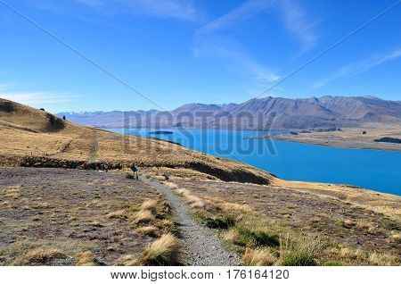 Lake Tekapo