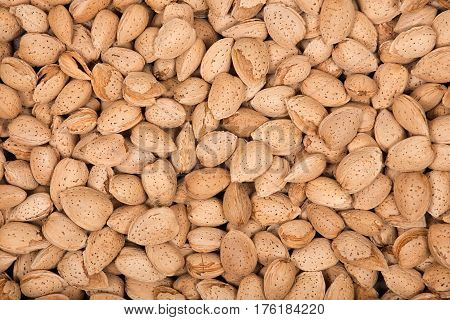 Raw organic almonds in shell in wooden vintage tray like art background