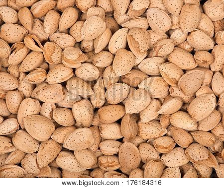 Raw organic almonds in shell in wooden vintage tray like art background