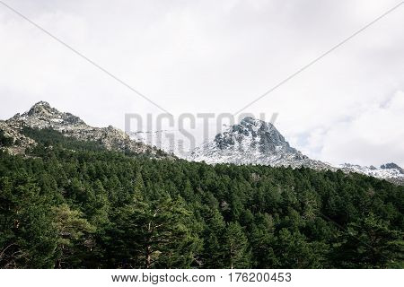 Woodland and snow capped mountain range. Navacerrada Madrid Spain