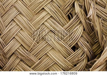 Esparto grass texture. Esparto background. Closeup view of esparto texture for designers. Pattern, background and texture for designers. Abstract pattern.