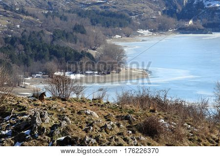 The Wolves Of The Wildlife Area Of Civitella Alfedena