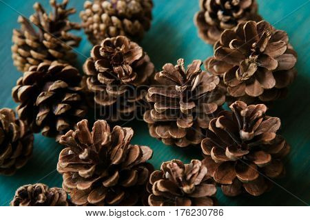 Pine cones. Pine cones texture. Pine cones background. Pine cone. Abstract background and texture for designers. Closeup view of brown pine cones for texture and background.