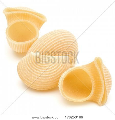 Italian lumaconi isolated on white background. Lumache, snailshell shaped pasta.