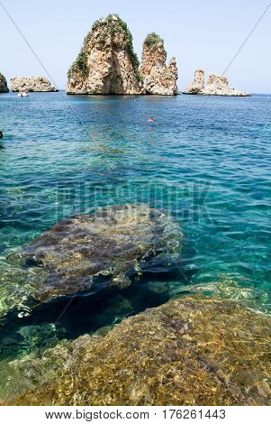 People Snorkeling In Front Of Faraglioni At Scopello On Sicily