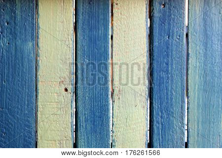 White and blue wooden wall for background.