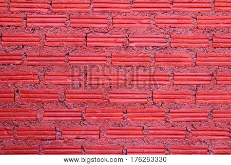 The red wall from bricks for background.