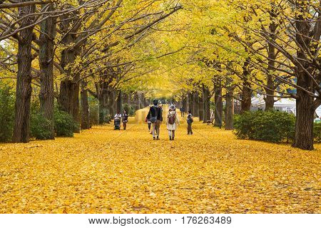 Showa Kenen Park