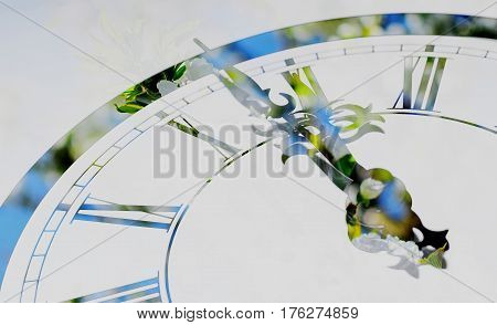 Detail of clock with spring blooming cherry on background