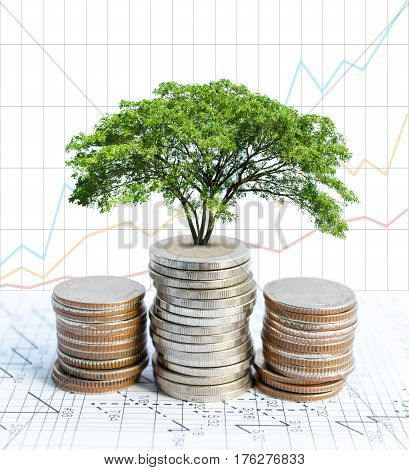 Double exposure coins and big green plant growing Graph background Saving money Economy Investment and Saving Concept.