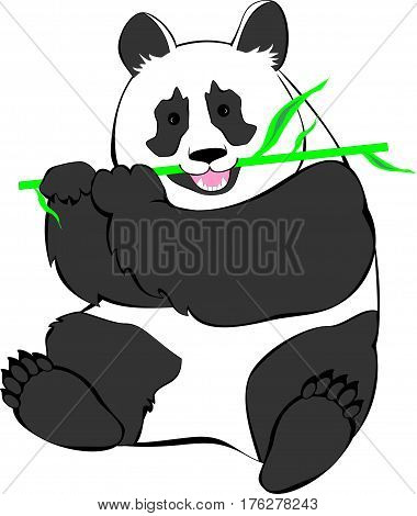 Drawing of a panda sitting and chewing bamboo