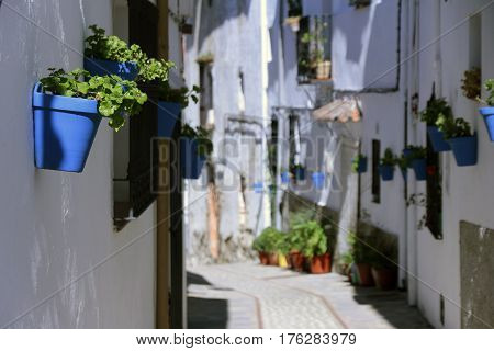 Corners art and details on the streets of Andalusia Serrania de Ronda Spain.