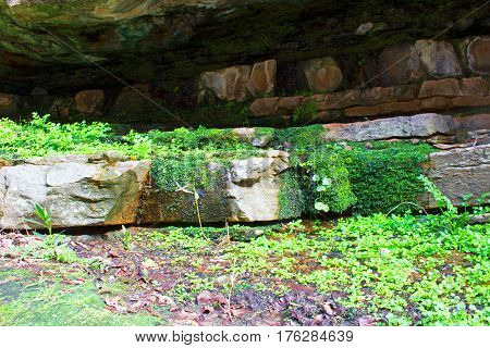 Stones. Gteen plants. Old. Beautiful nature. Closeup.