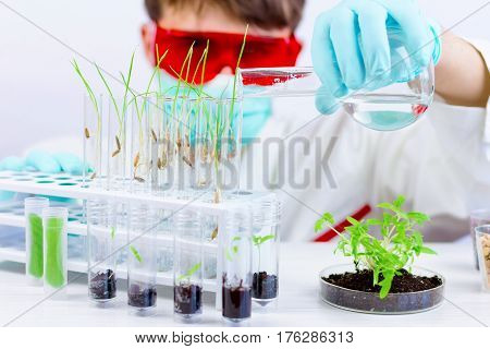 Testing Gmo Products