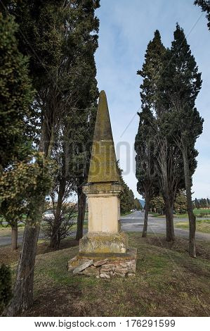 Bolgheri, Leghorn - Obelisk In Memory Of The Poet Carducci In San Guido, Tuscany, Italy