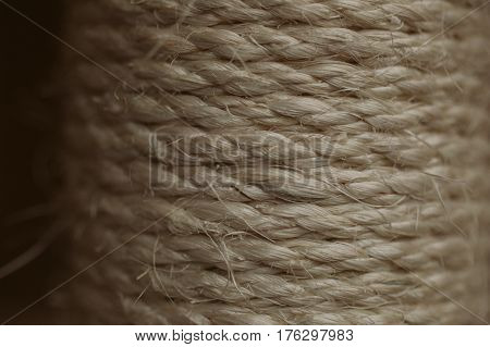 Esparto grass texture. Esparto background. Close up view of esparto texture and background. Abstract background and texture for designers. Old rope.