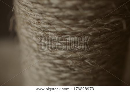 Esparto grass texture. Esparto background. Close up view of esparto texture and background. Abstract background and texture for designers. Old rope.