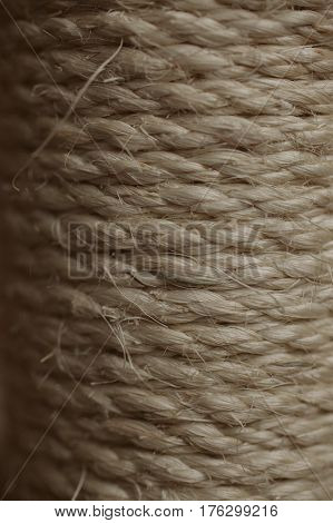Esparto grass texture. Esparto background. Close up view of esparto texture and background. Abstract background and texture for designers. Old rope.