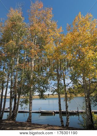 Rowboat surrounded by aspens on Big Lake
