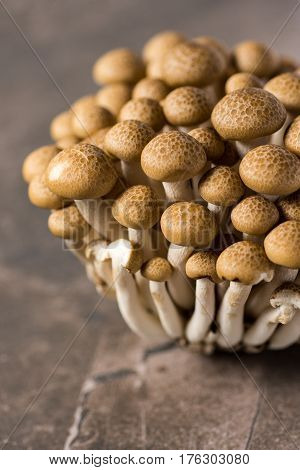 Brown Shimeji Mushrooms as Fungi Food Background